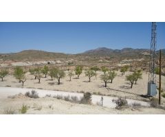 Parcela en Venta en Abanillas, Murcia