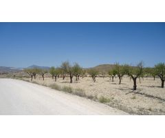 Parcela en Venta en Abanillas, Murcia