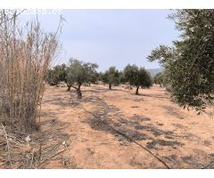 Parcela en Venta en Beneixama, Alicante