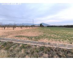 Parcela en Venta en Yecla, Murcia