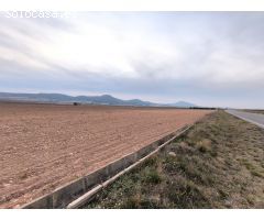 Parcela en Venta en Yecla, Murcia