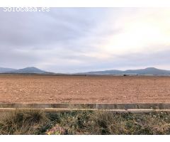 Parcela en Venta en Yecla, Murcia