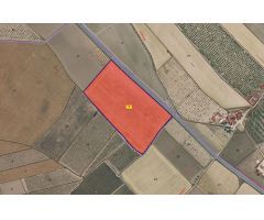 Parcela en Venta en Yecla, Murcia
