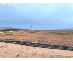 Parcela en Venta en Yecla, Murcia