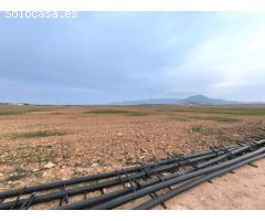 Parcela en Venta en Yecla, Murcia