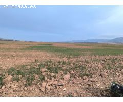 Parcela en Venta en Yecla, Murcia