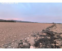 Parcela en Venta en Yecla, Murcia
