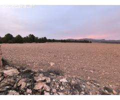 Parcela en Venta en Yecla, Murcia