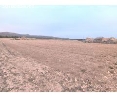 Parcela en Venta en Yecla, Murcia