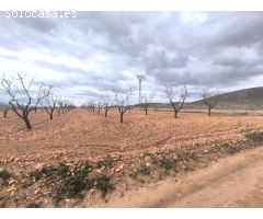 Parcela en Venta en Yecla, Murcia