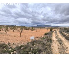 Parcela en Venta en Yecla, Murcia