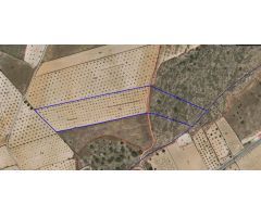 Parcela en Venta en Yecla, Murcia