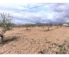 Parcela en Venta en Yecla, Murcia