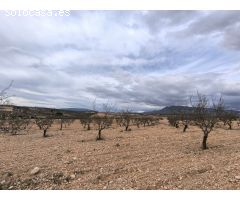 Parcela en Venta en Yecla, Murcia