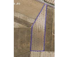 Parcela en Venta en Yecla, Murcia