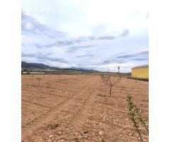 Parcela en Venta en Yecla, Murcia