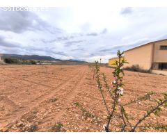 Parcela en Venta en Yecla, Murcia