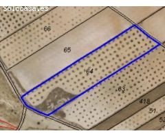 Parcela en Venta en Yecla, Murcia