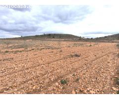Parcela en Venta en Yecla, Murcia