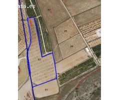 Parcela en Venta en Yecla, Murcia