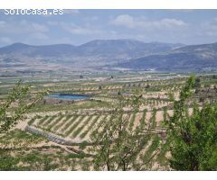 Parcela en Venta en Yecla, Murcia