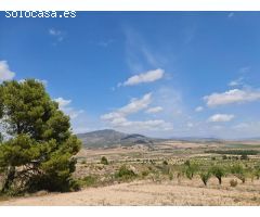 Parcela en Venta en Yecla, Murcia