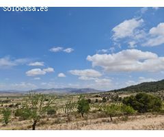 Parcela en Venta en Yecla, Murcia