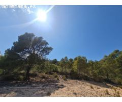 Parcela en Venta en Yecla, Murcia