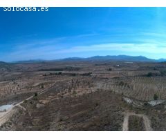 Parcela en Venta en Yecla, Murcia