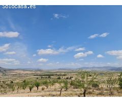 Parcela en Venta en Yecla, Murcia