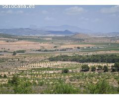 Parcela en Venta en Yecla, Murcia