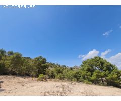Parcela en Venta en Yecla, Murcia