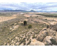Parcela en Venta en Yecla, Murcia