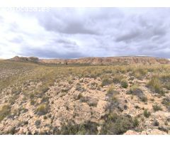 Parcela en Venta en Yecla, Murcia