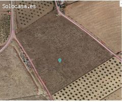 Parcela en Venta en Jumilla, Murcia