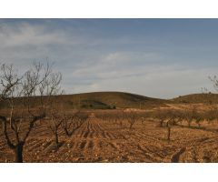 Parcela en Venta en Abanillas, Murcia
