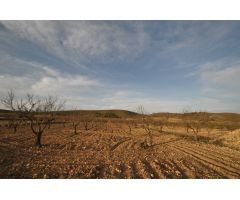 Parcela en Venta en Abanillas, Murcia