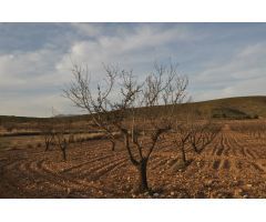 Parcela en Venta en Abanillas, Murcia