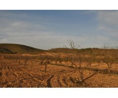 Parcela en Venta en Abanillas, Murcia