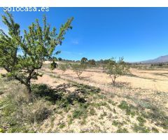 Parcela en Venta en Jumilla, Murcia