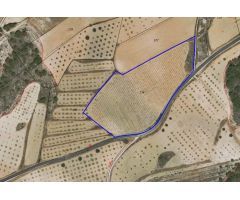 Parcela en Venta en Jumilla, Murcia