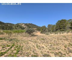 Parcela en Venta en Yecla, Murcia
