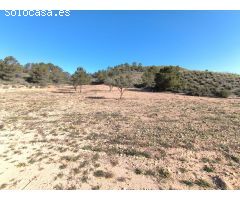 Parcela en Venta en Yecla, Murcia