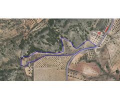 Parcela en Venta en Yecla, Murcia