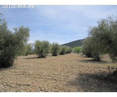 Parcela en Venta en Yecla, Murcia