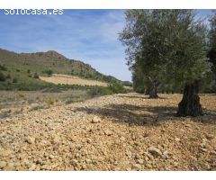 Parcela en Venta en Yecla, Murcia