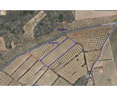 Parcela en Venta en Yecla, Murcia