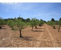 Parcela en Venta en Yecla, Murcia