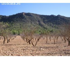 Parcela en Venta en Yecla, Murcia
