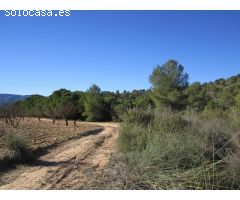 Parcela en Venta en Yecla, Murcia
